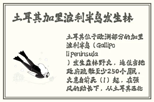 茄子 丝瓜 草莓 榴莲 石榴